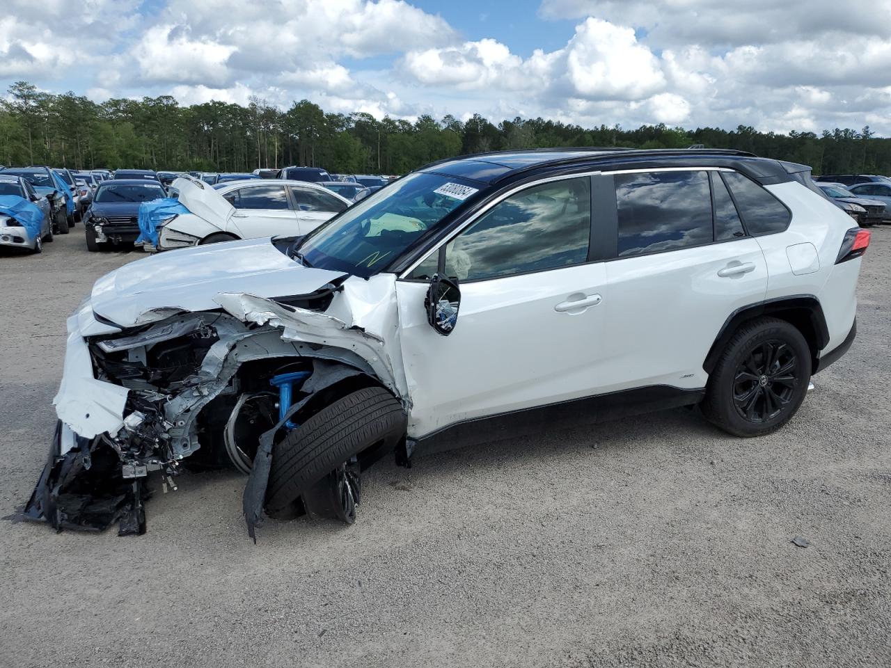 2024 TOYOTA RAV4 XSE VIN:JTME6RFV1RJ050988