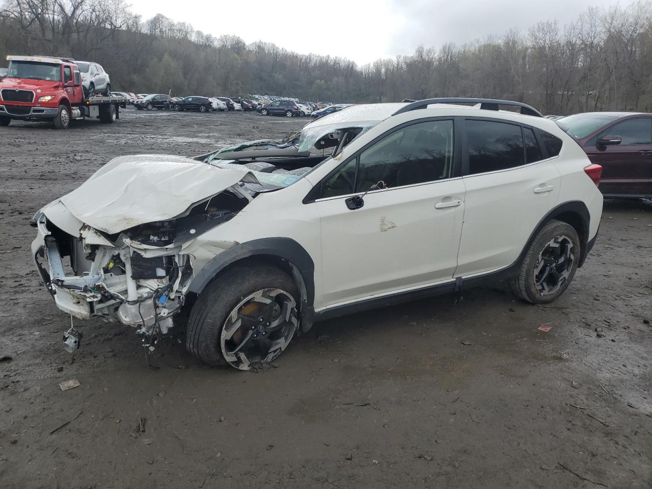 2023 SUBARU CROSSTREK LIMITED VIN:JF2GTHMCXP8313689