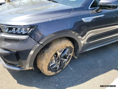 2023 Kia Sorento KNARL81GBPA144089 VIN:KNARL81GBPA144089