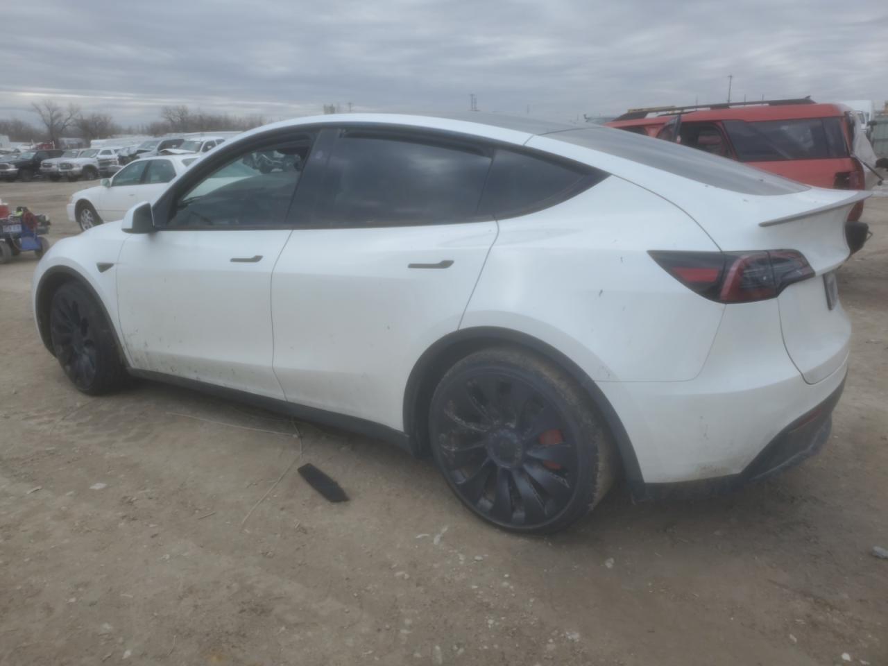 2023 TESLA MODEL Y  VIN:7SAYGDEF0PF791552