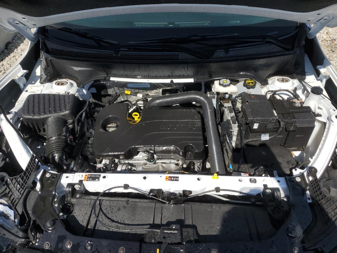 2024 GMC TERRAIN AT4 VIN:3GKALYEGXRL393090