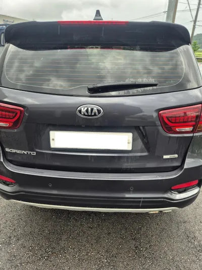 2017 Kia Sorento KNAPS81BBJA419260 VIN:KNAPS81BBJA419260