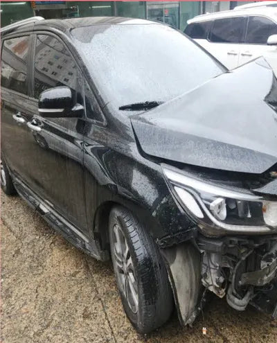 2018 Kia Carnival KNAMB81ABKS483304 VIN:KNAMB81ABKS483304