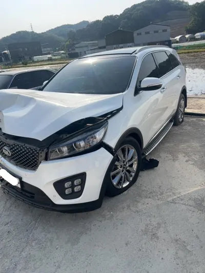 2016 Kia Sorento KNAPH81ABGA246405 VIN:KNAPH81ABGA246405
