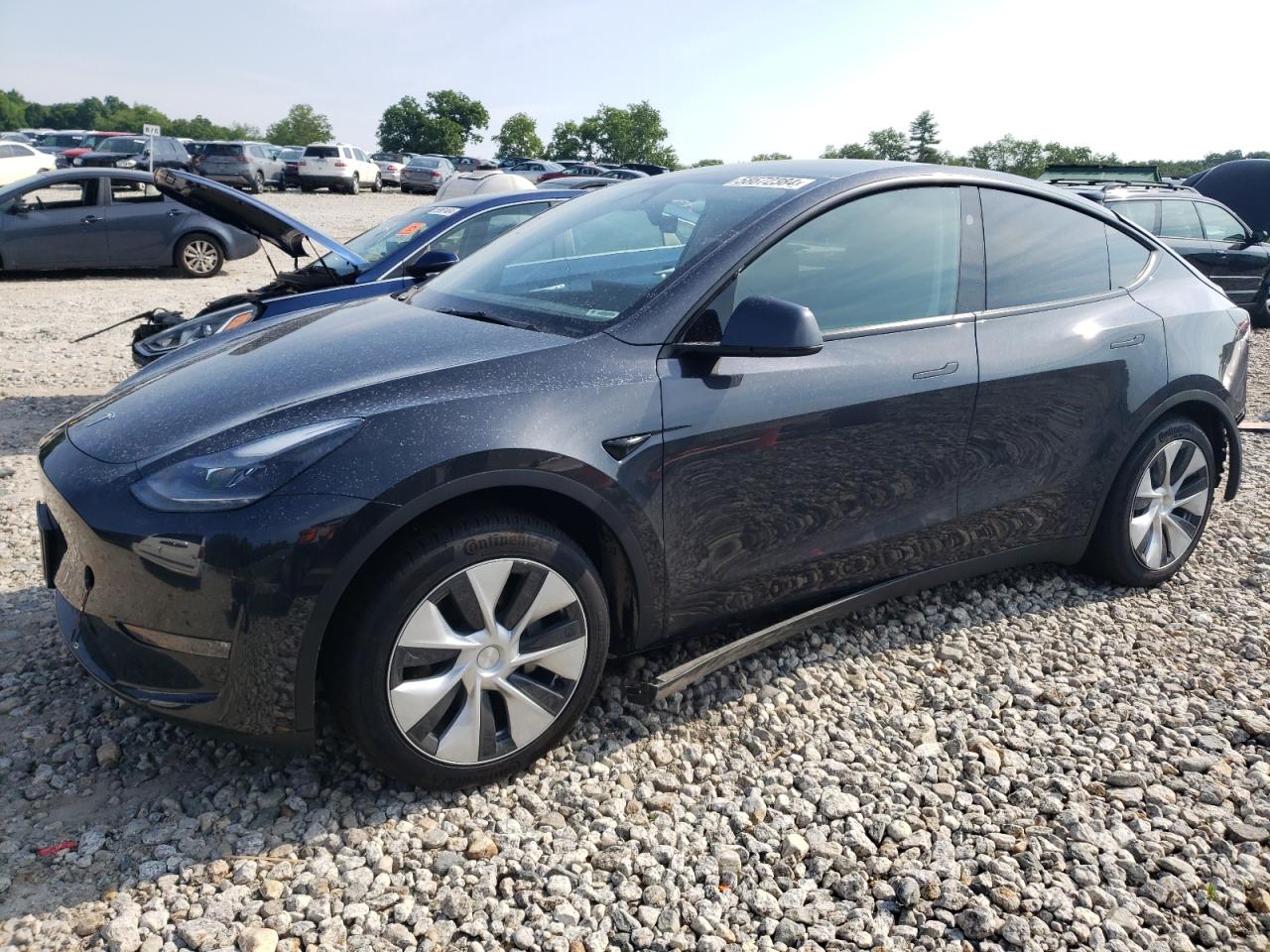 2024 TESLA MODEL Y  VIN:7SAYGDEE8RF037809