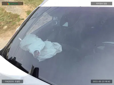 2019 Hyundai Santa FE KMHS381BBKU169090 VIN:KMHS381BBKU169090