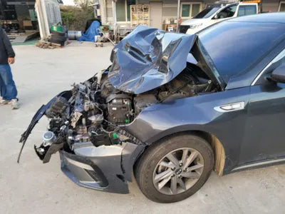 2019 Kia K5 KNAGS411BKA320809 VIN:KNAGS411BKA320809