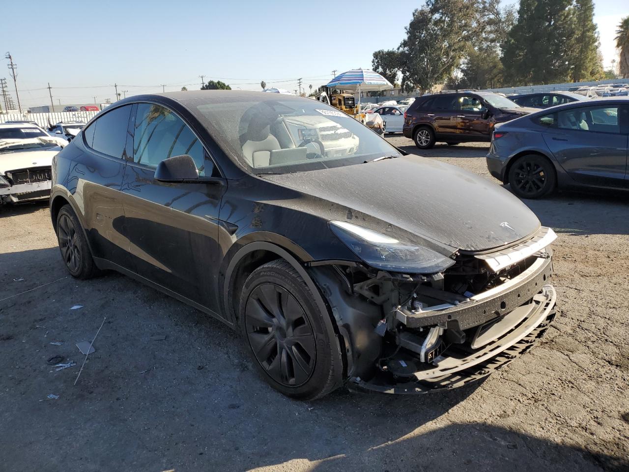 2024 TESLA MODEL Y  VIN:7SAYGDEE0RA291527
