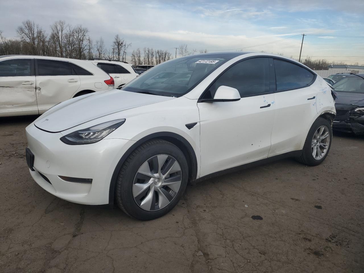 2023 TESLA MODEL Y  VIN:7SAYGDEE3PA130988