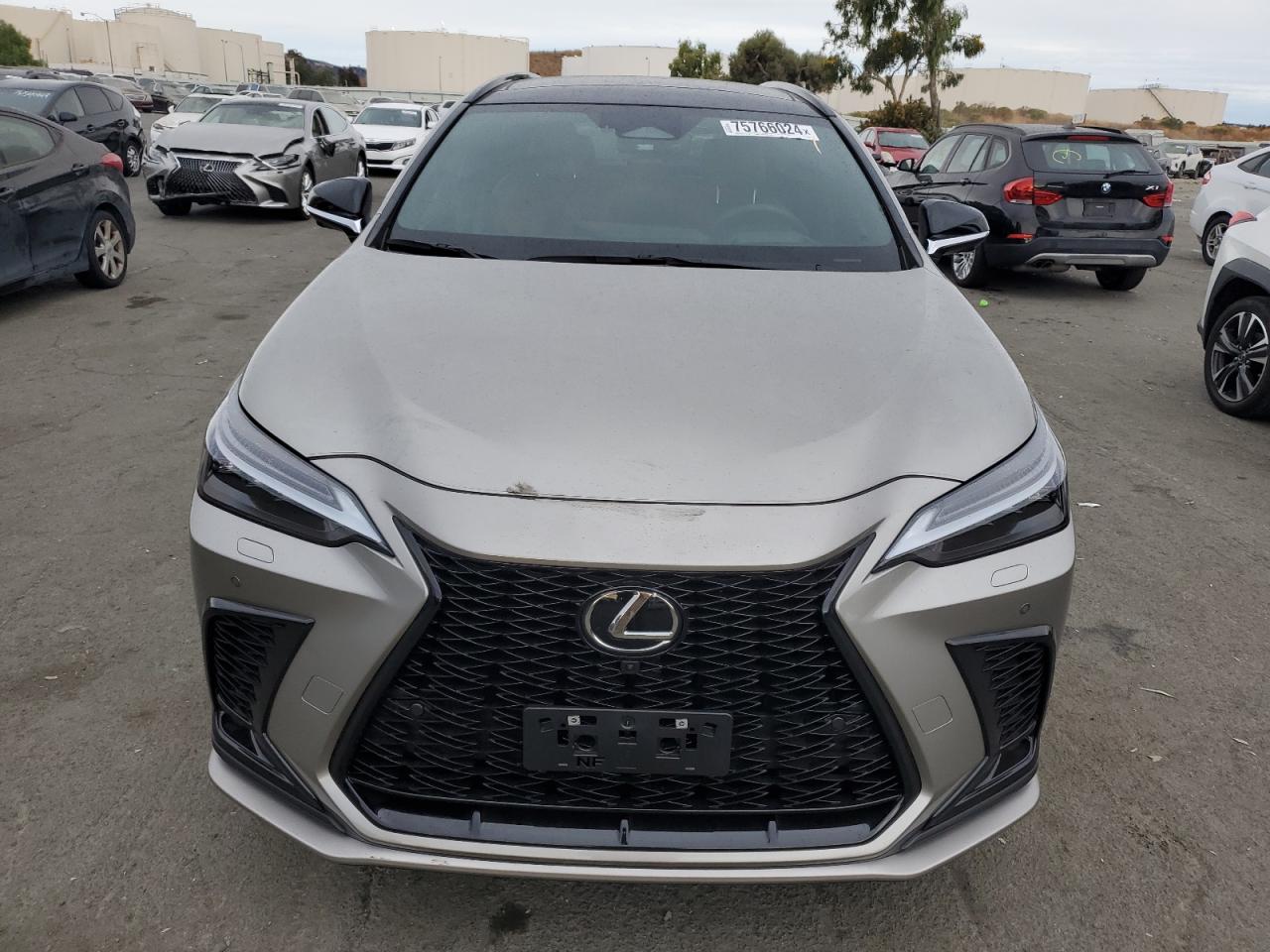 2024 LEXUS NX 350 LUXURY VIN:2T2KGCEZ7RC041849