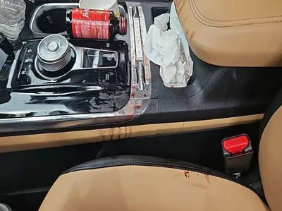 2021 Kia Carnival VIN: