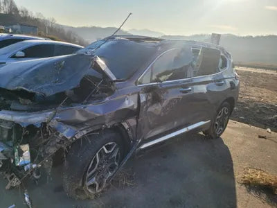 2021 Hyundai Santa FE KMHS5811BNU021082 VIN:KMHS5811BNU021082