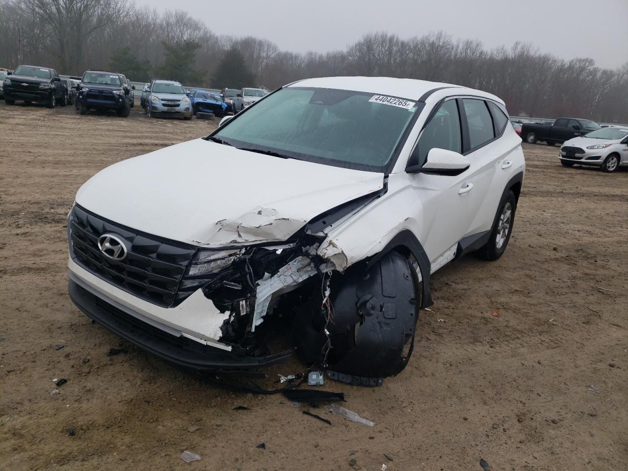 2024 HYUNDAI TUCSON SE VIN:5NMJA3DE6RH355471