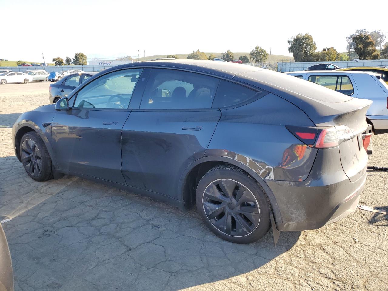 2024 TESLA MODEL Y  VIN:7SAYGDED7RF196053