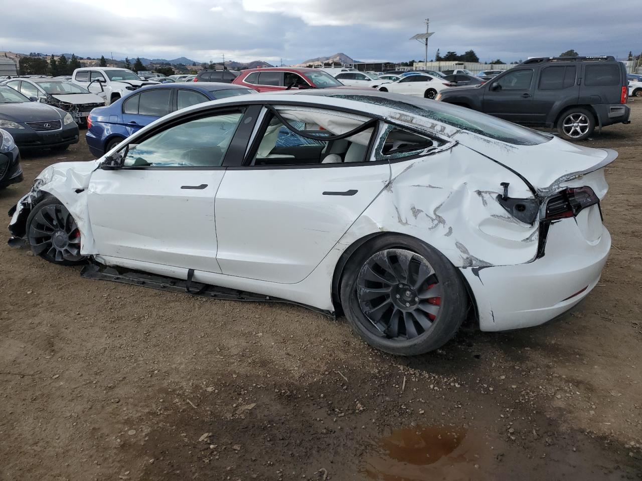 2023 TESLA MODEL 3  VIN:5YJ3E1EC0PF491947