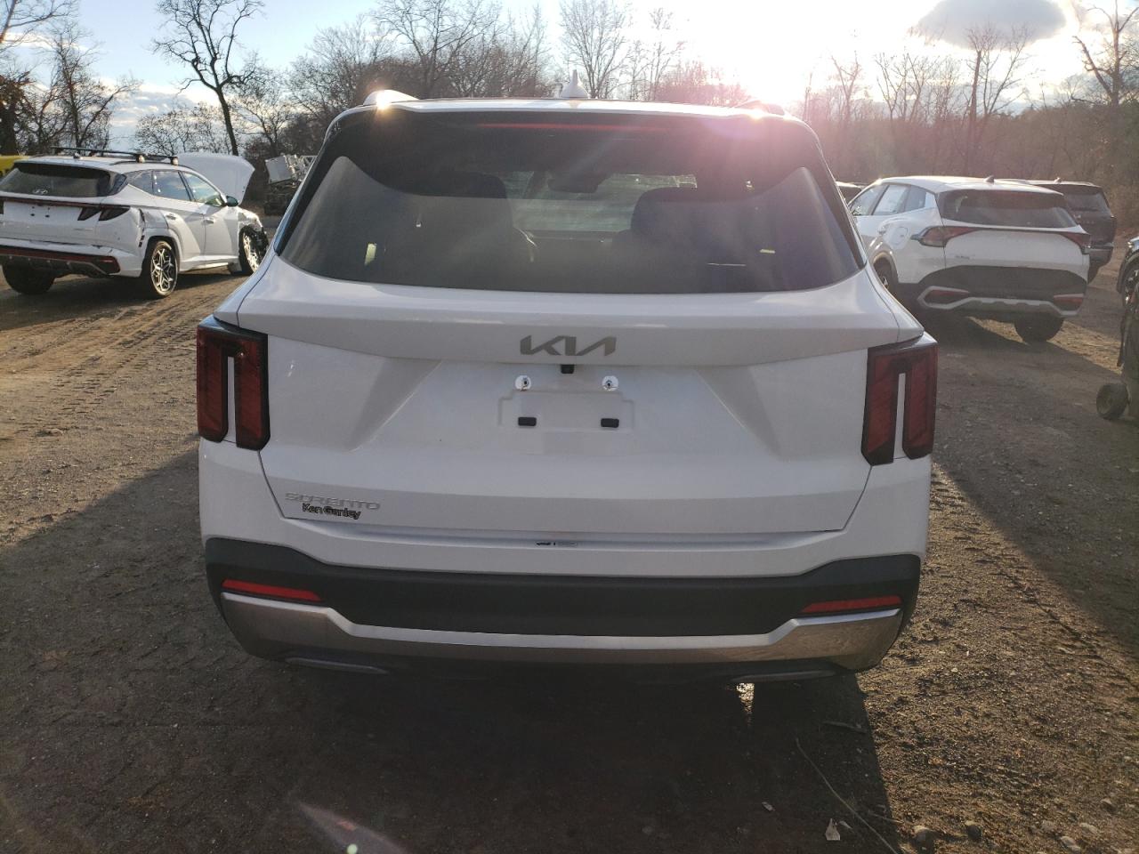 2024 KIA SORENTO SX VIN:5XYRK4JF1RG291630
