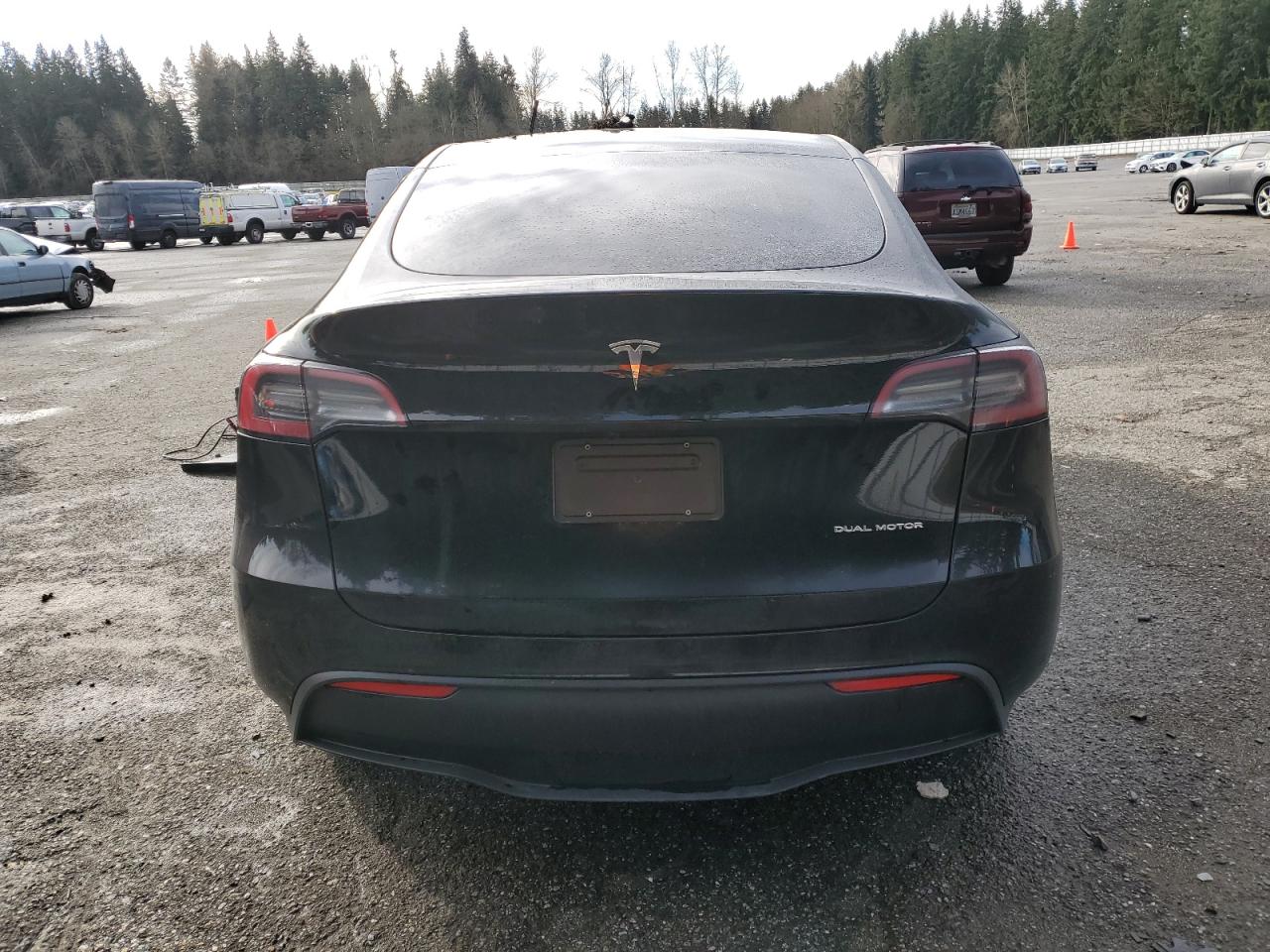 2024 TESLA MODEL Y  VIN:7SAYGDEEXRF119119