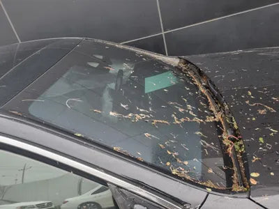 2022 Mercedes-Benz S 580 W1K6G7GB1NA105739 VIN:W1K6G7GB1NA105739