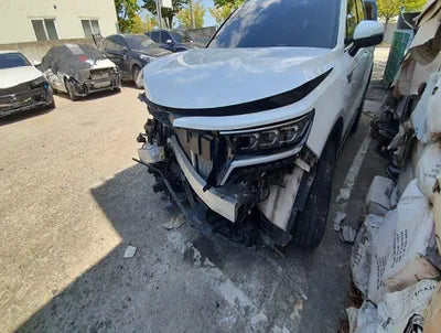 2021 Kia Sorento KNARL81BGMA060460 VIN:KNARL81BGMA060460