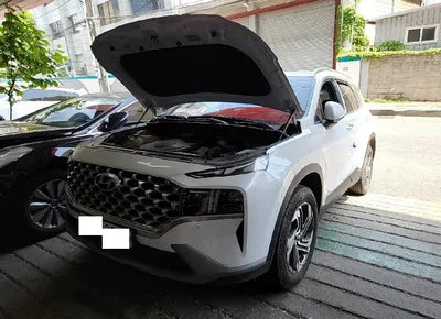 2021 Hyundai Santa FE KMHS381HGMU317830 VIN:KMHS381HGMU317830