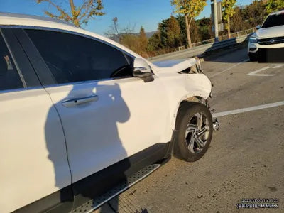 2021 Hyundai Santa FE KMHS381HGMU399703 VIN:KMHS381HGMU399703