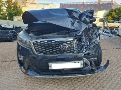2019 Kia Sorento KNAPK81ABKA541951 VIN:KNAPK81ABKA541951