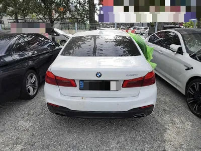 2020 BMW 520 WBAJK9105LCE63403 VIN:WBAJK9105LCE63403