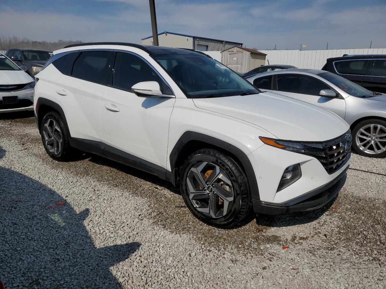 2023 HYUNDAI TUCSON LIMITED VIN:5NMJECAE9PH215971