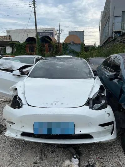 2020 Tesla Model 3 5YJ3E1EA0LF774759 VIN:5YJ3E1EA0LF774759