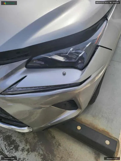 2019 Lexus NX 300 JTJBJRBZ5K2120967 VIN:JTJBJRBZ5K2120967