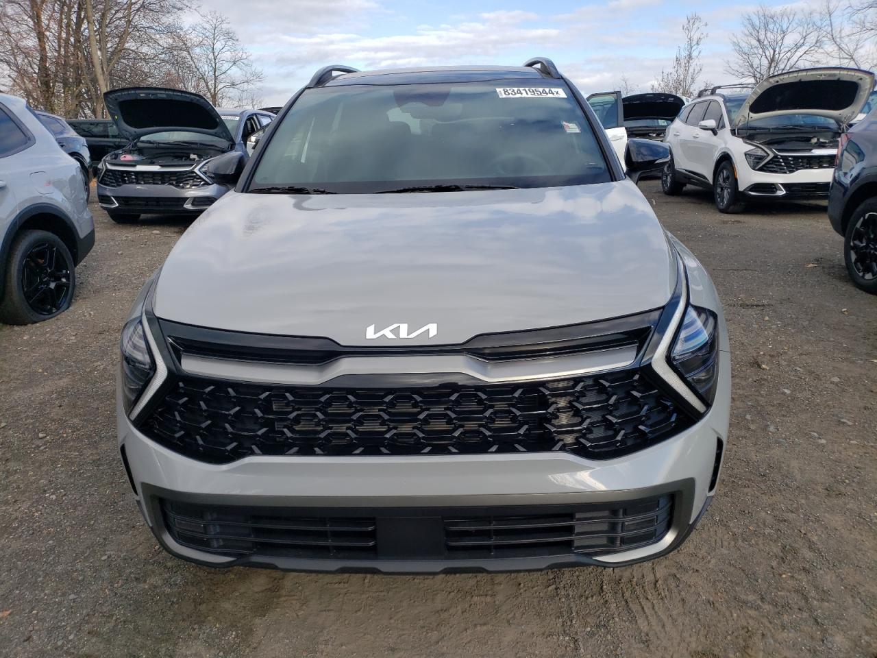 2024 KIA SPORTAGE X-PRO VIN:5XYK7CDF2RG216623