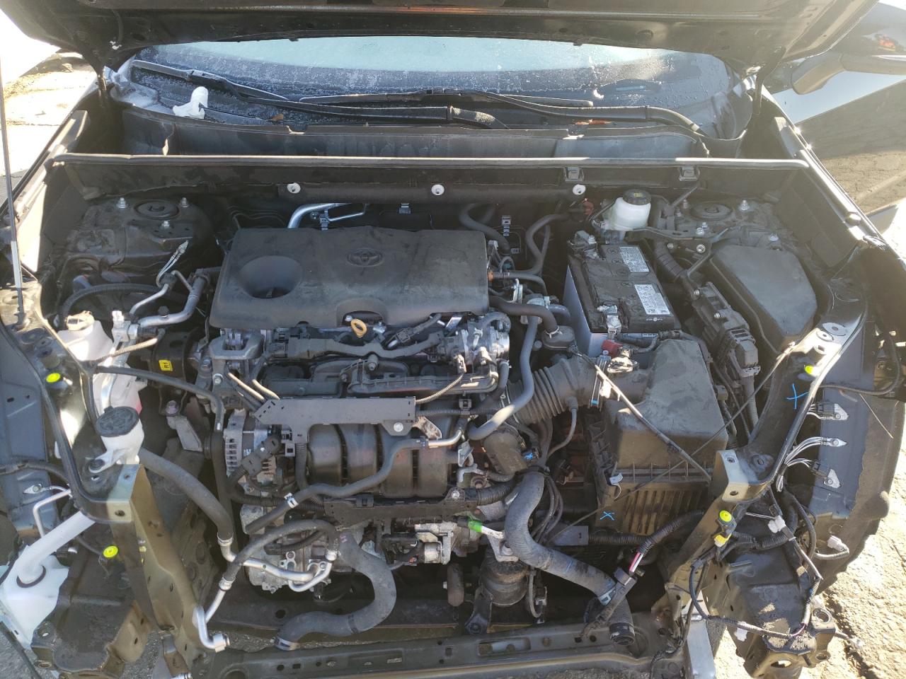 2023 TOYOTA RAV4 XLE VIN:2T3W1RFV1PW270620