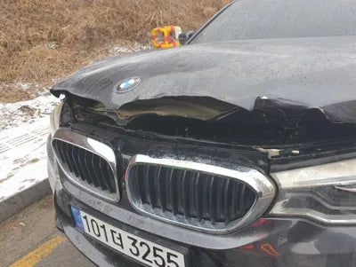 2020 BMW 530 WBAJR5105LWW73970 VIN:WBAJR5105LWW73970