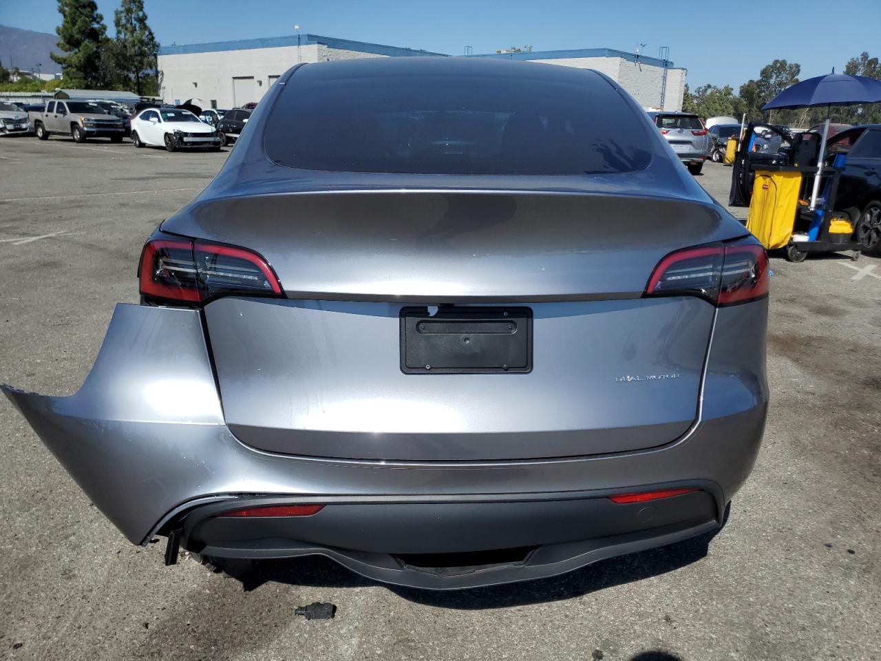 2024 TESLA MODEL Y  VIN:7SAYGDEE8RA299794