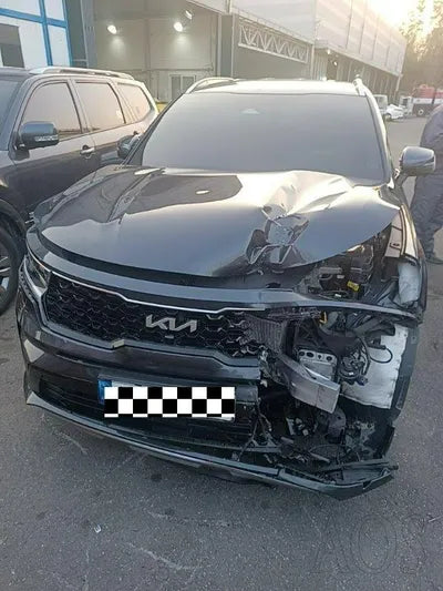 2022 Kia Sorento KNARF81GBNA119324 VIN:KNARF81GBNA119324