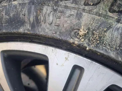 2021 Mercedes-Benz E 450 W1KZF5KB4MA916431 VIN:W1KZF5KB4MA916431