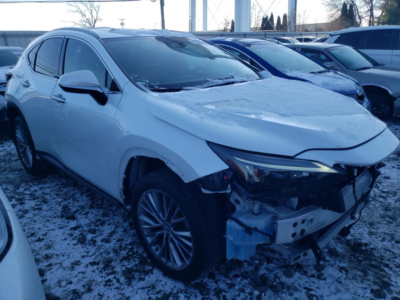 2022 LEXUS NX 350H VIN:2T2GKCEZ8NC008194