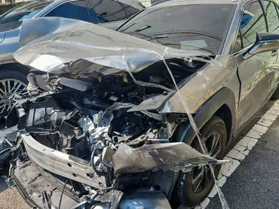 2020 Lexus UX 250 JTHP6JBH2L2067485 VIN:JTHP6JBH2L2067485