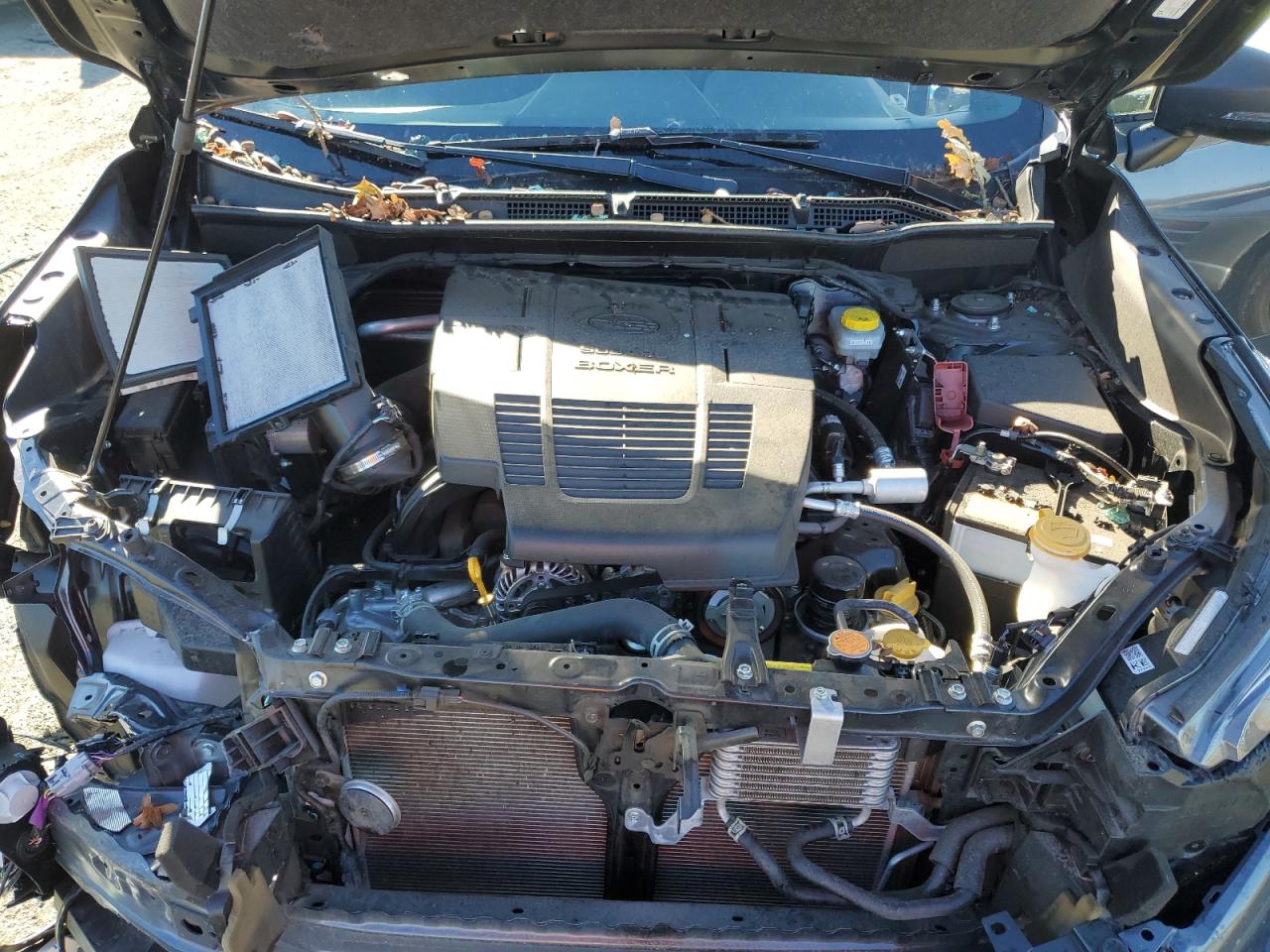 2023 SUBARU FORESTER WILDERNESS VIN:JF2SKAMC8PH438291