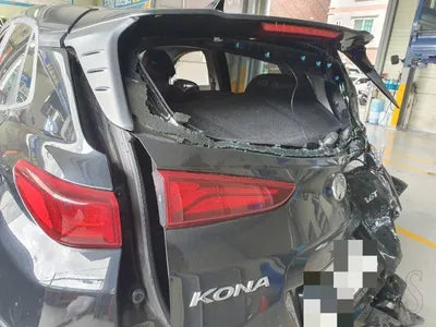 2019 Hyundai Kona KMHK4815GKU354787 VIN:KMHK4815GKU354787
