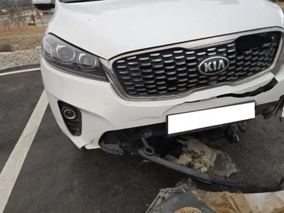 2019 Kia Sorento KNAPG81BDKA540068 VIN:KNAPG81BDKA540068