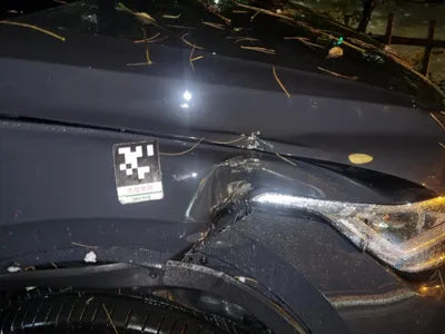 2022 Volkswagen Tiguan WVGZZZ5NZNW008980 VIN:WVGZZZ5NZNW008980