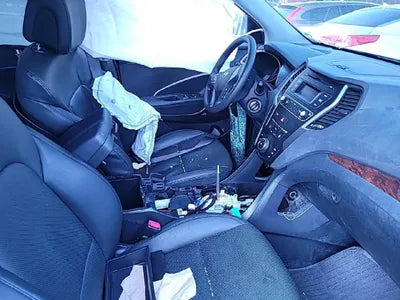 2017 Hyundai Santa FE KMHSU81UBJU820207 VIN:KMHSU81UBJU820207