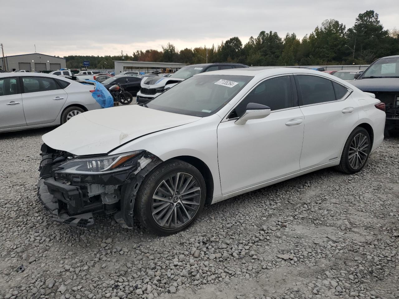 2022 LEXUS ES 300H BASE VIN:58ADA1C19NU025931