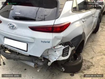 2020 Hyundai Kona KMHK381EGLU028679 VIN:KMHK381EGLU028679