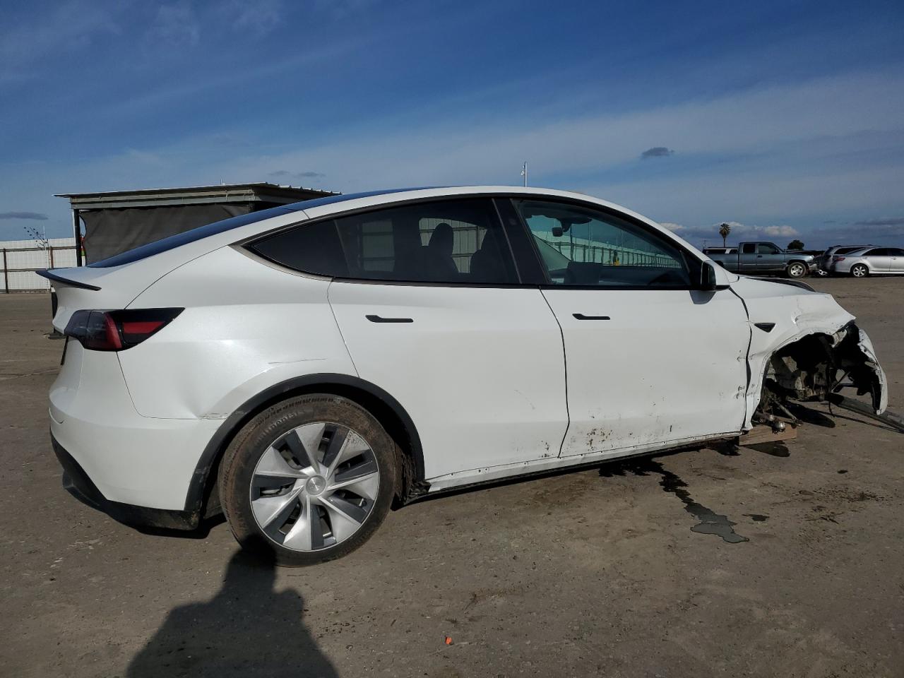 2024 TESLA MODEL Y  VIN:7SAYGDED4RF055859