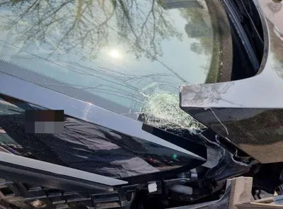 2019 BMW 120 WBY8P2103K7D97272 VIN:WBY8P2103K7D97272