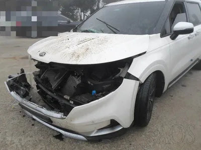2020 Kia Carnival VIN: