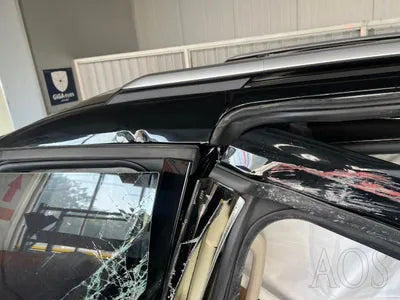 2020 Kia Carnival KNANC81BBMS029359 VIN:KNANC81BBMS029359
