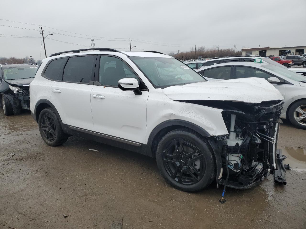 2023 KIA TELLURIDE SX VIN:5XYP5DGC4PG373134